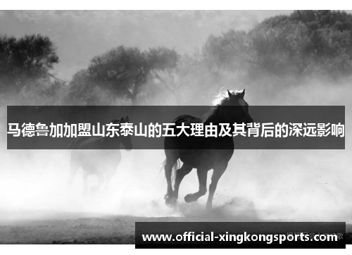 马德鲁加加盟山东泰山的五大理由及其背后的深远影响