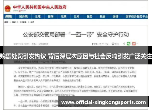 魏震处罚引发热议 背后深层次原因与社会反响引发广泛关注