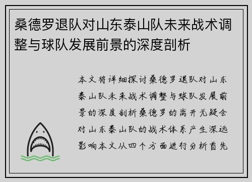 桑德罗退队对山东泰山队未来战术调整与球队发展前景的深度剖析