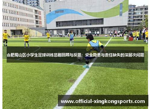 合肥蜀山区小学生足球训练悲剧回顾与反思：安全隐患与责任缺失的深层次问题