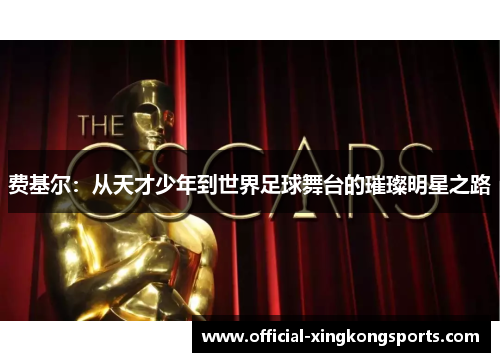 费基尔:从天才少年到世界足球舞台的璀璨明星之路