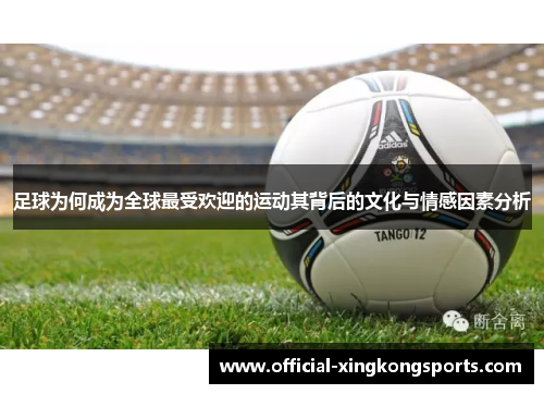 足球为何成为全球最受欢迎的运动其背后的文化与情感因素分析